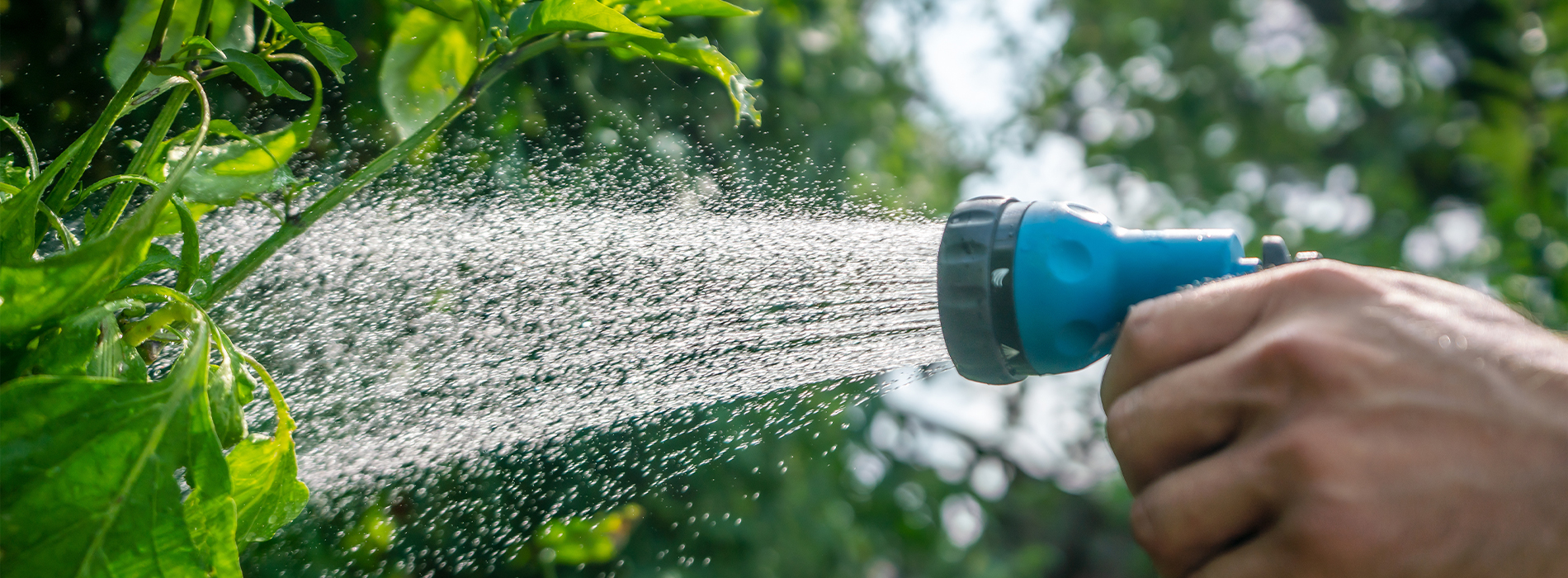 Conservation Resources