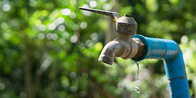 How can I save water in my yard?