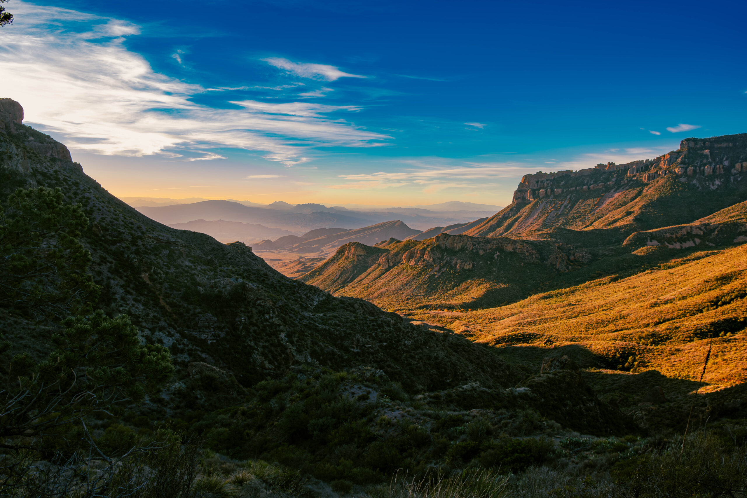 Accessibility Statement